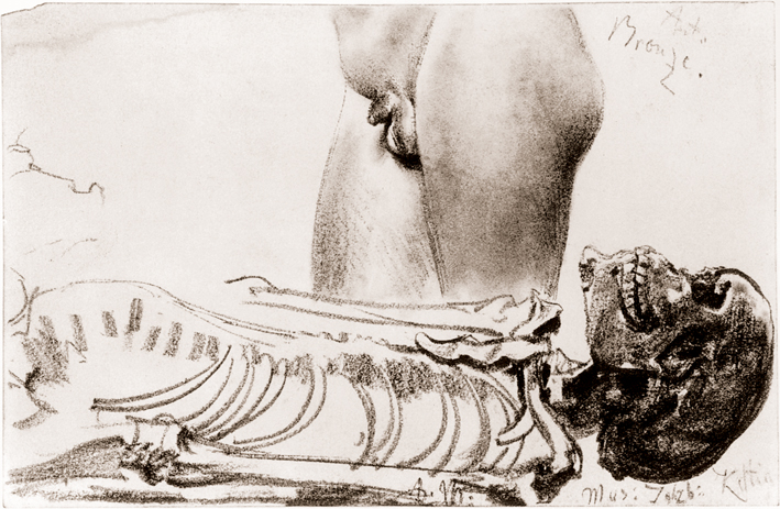  Adolpyh Von Menzel —— 一个塞尔特女人的骨架和萨尔茨堡雕像的局部